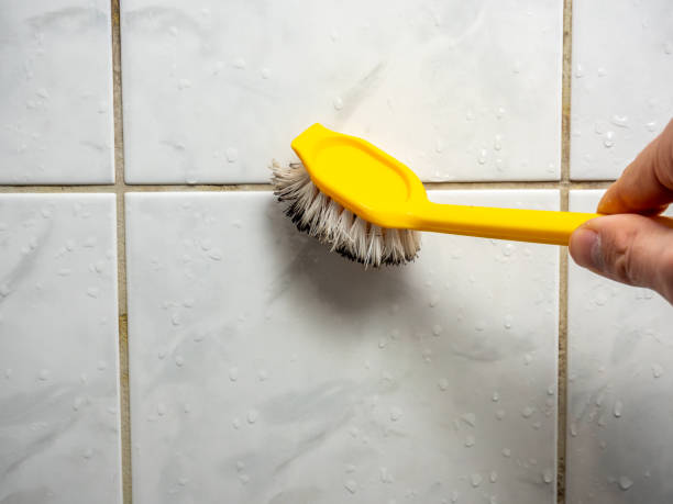 Best Toxic Mold Removal  in Hanover, PA
