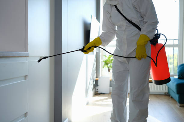 Best Black Mold Removal  in Hanover, PA