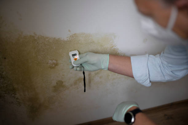 Best Home Mold Removal  in Hanover, PA