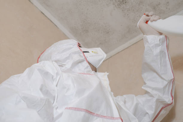 Best Mold Remediation Experts  in Hanover, PA